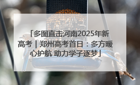 多图直击河南2025年新高考｜郑州高考首日：多方暖心护航 助力学子逐梦